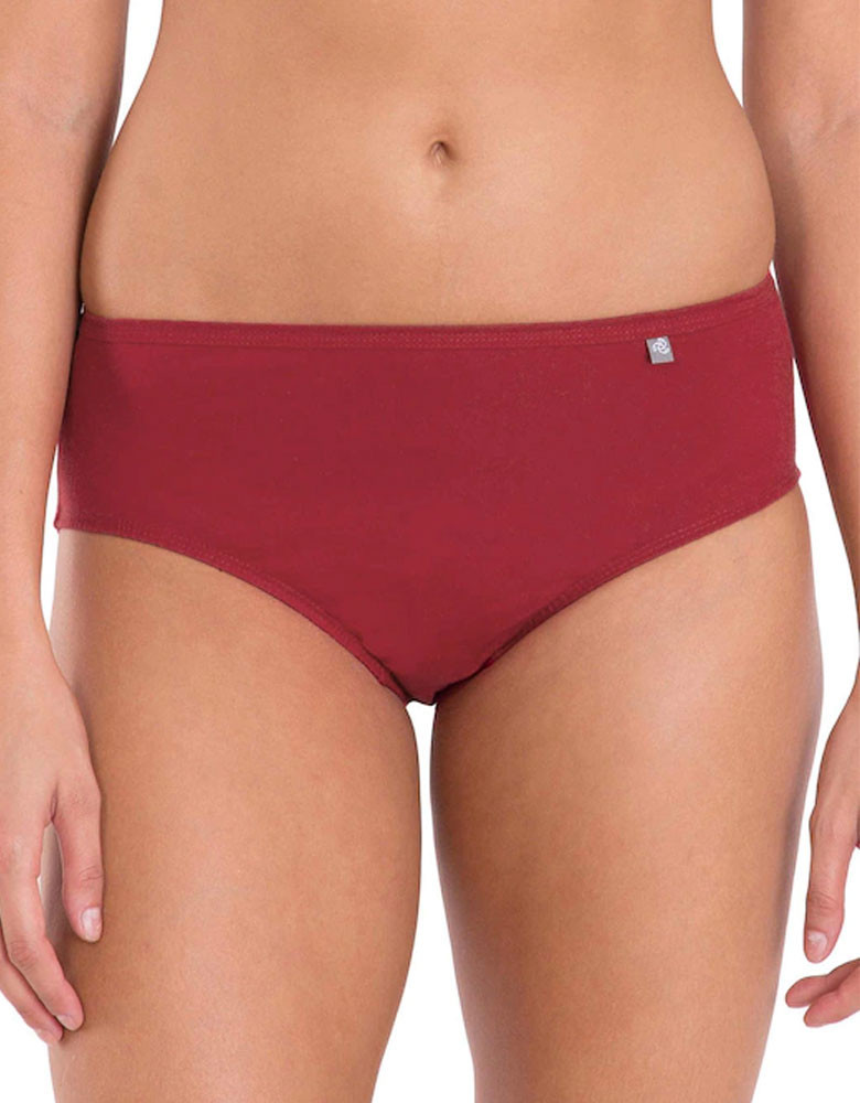 Women Pack of 3 Solid Assorted Hipster Briefs