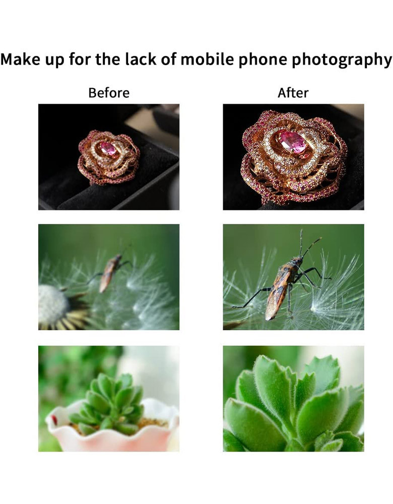 The Best Macro Lens for Professional photographer