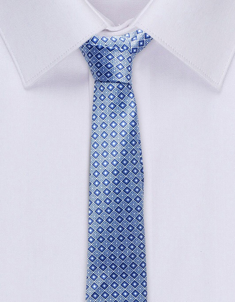 Men Blue & White Printed Broad Tie